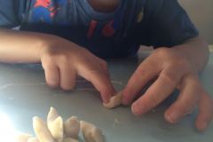 CAVATELLI3